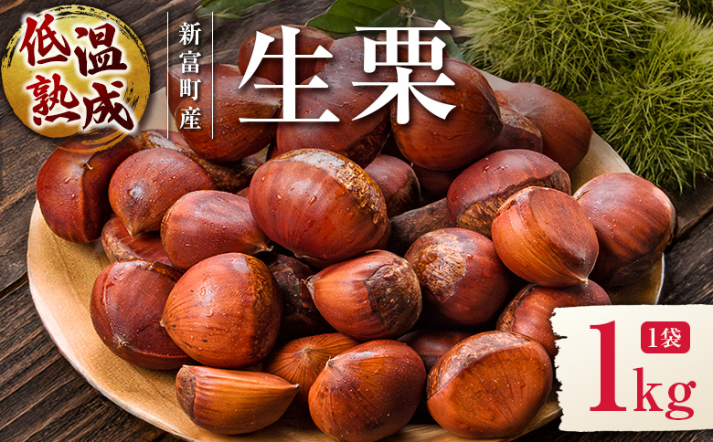 ＜2026年出荷!!＞国産 低温熟成栗（生栗）1kg 熟成宝珠栗 産地直送 宮崎県新富町産 先行予約【B671-26】