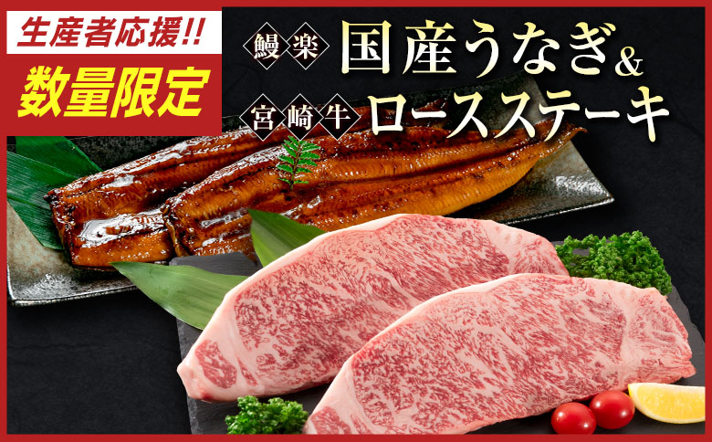 [数量限定!!]鰻楽 国産うなぎ 2尾 計360g & 宮崎牛 ロースステーキ 250g×2枚 計500g 肉質等級4等級 国産 人気 おすすめ[C129-S-30]