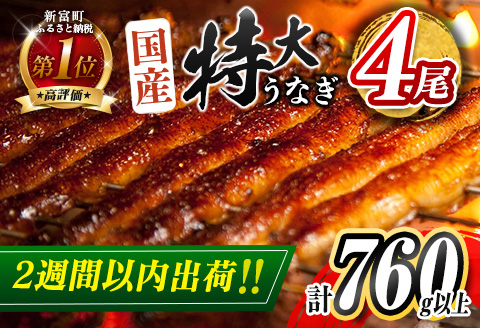 ふるさと納税】国産 高級うなぎ 定期便 年3回 上蒲焼 3人前