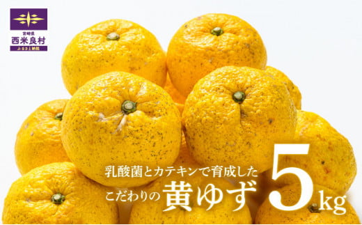 こだわりの有機栽培 黄柚子 5kg