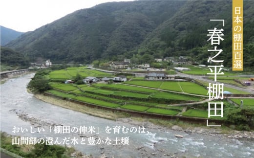 棚田の【伸米】(3キロ)