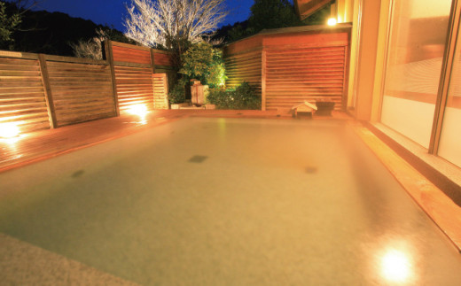 温泉パスポート　半年