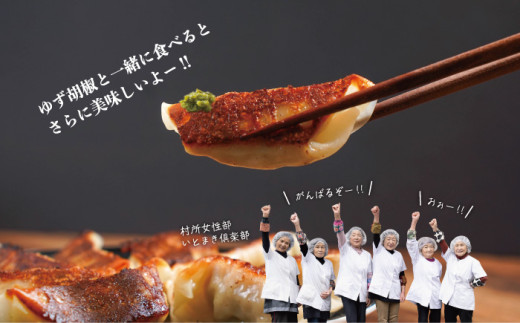 鹿肉餃子 1箱(30個入り) 鹿肉 ジビエ 焼き餃子 水餃子 国産