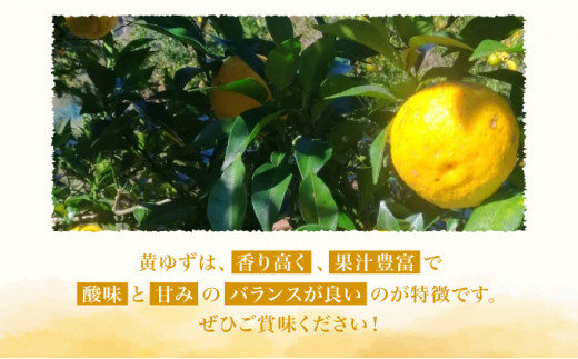 こだわりの有機栽培 黄柚子 5kg