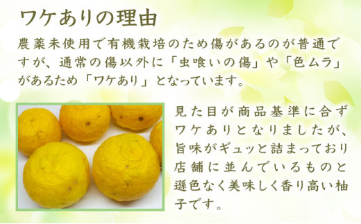 ワケありの黄柚子 100kg