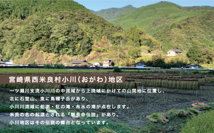 黒木家の天日かけ干し米（ヒノヒカリ）900g（6合分）×2袋　1.8kg（12合分）