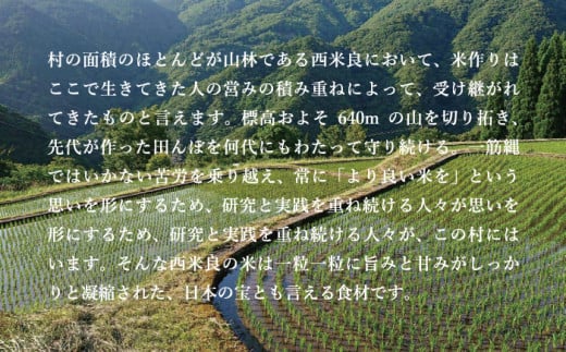 天空の棚田米　5㎏