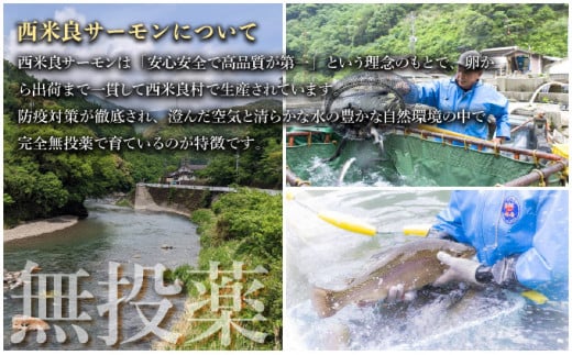 西米良サーモン フィレ2枚とアラ1パック