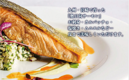 奥日向サーモン1尾