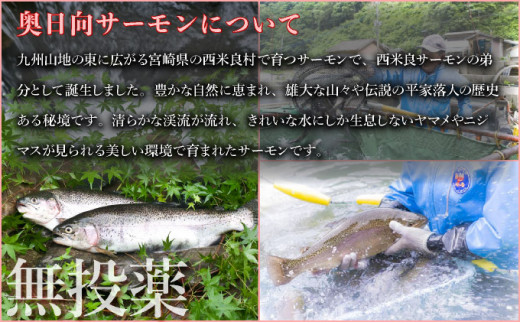 奥日向サーモン フィレ2枚とアラ1パック