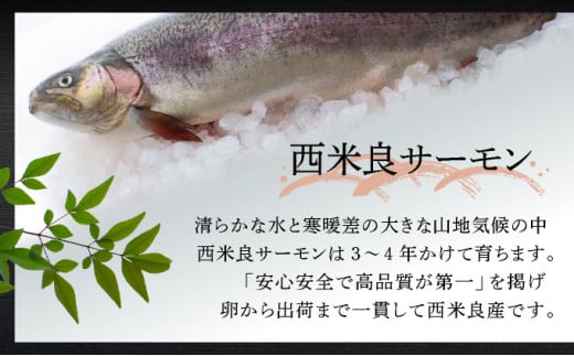 西米良サーモン ロイン(皮なし柵どり真空)