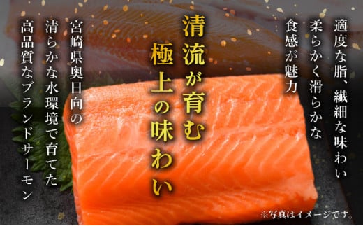 奥日向サーモン　ロイン(皮なし柵どり真空)