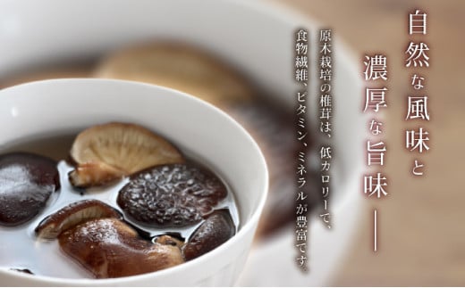 おがわ作小屋村の原木乾燥椎茸