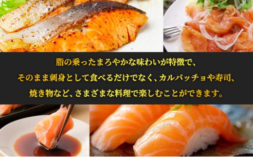 奥日向サーモン　ロイン(皮なし柵どり真空)