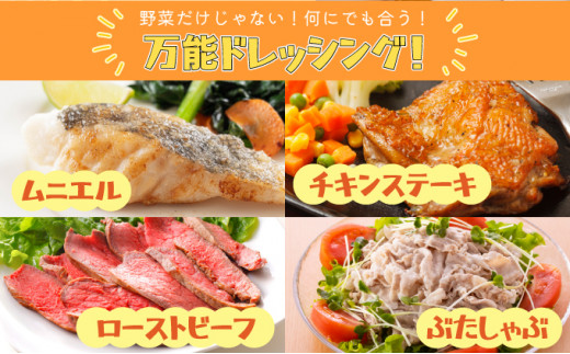 にんじんと玉ねぎのドレッシング3本セット