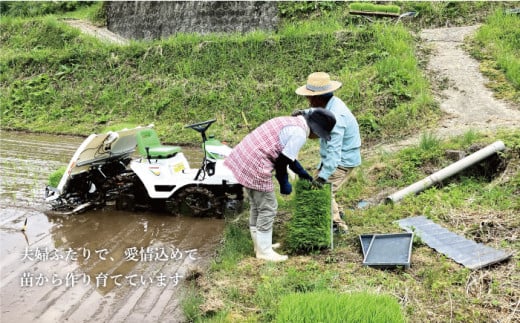 天空の棚田米　5㎏