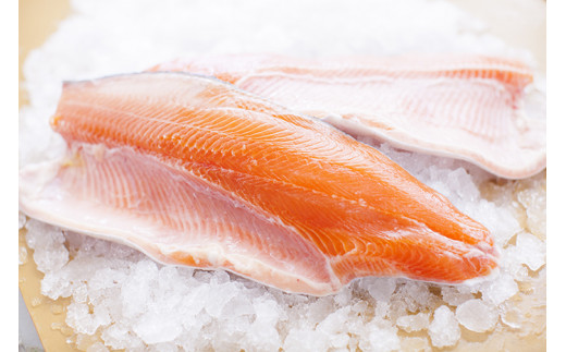 奥日向サーモン1尾