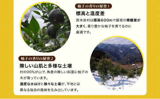 こだわりの有機栽培 黄柚子 5kg