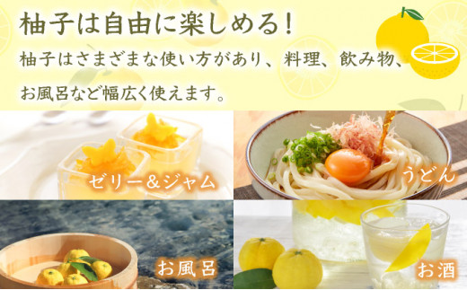 ワケありの黄柚子 100kg