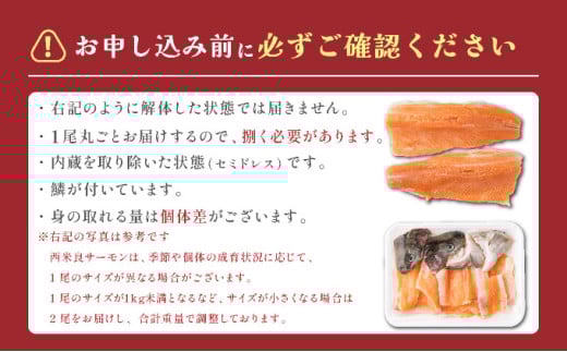 津本式「究極の血抜き」　西米良サーモン 1尾