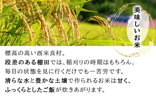 【令和7年度産】棚田米「博」3㎏