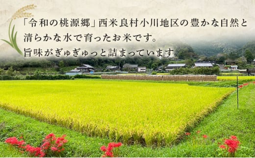 【令和7年度産】土持さんのお米 3kg