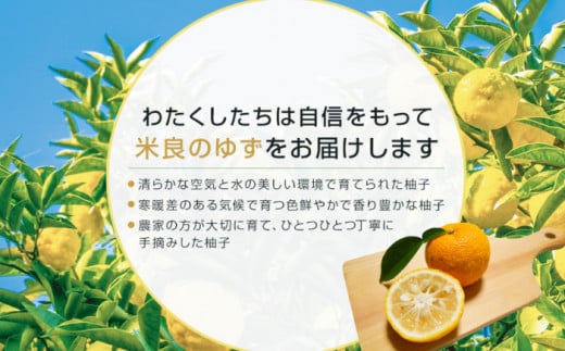 ゆず菓子セット