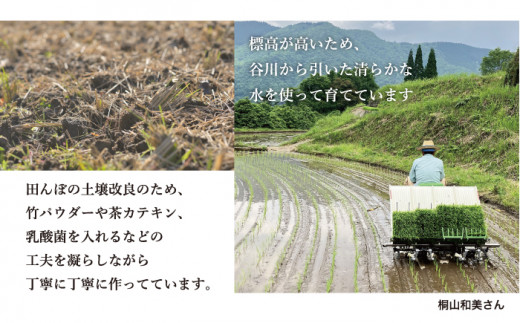 天空の棚田米　5㎏