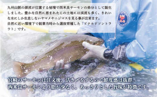 奥日向サーモン1尾