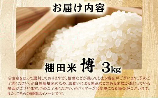 【令和7年度産】棚田米「博」3㎏