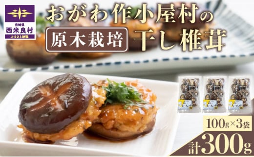 おがわ作小屋村の原木乾燥椎茸