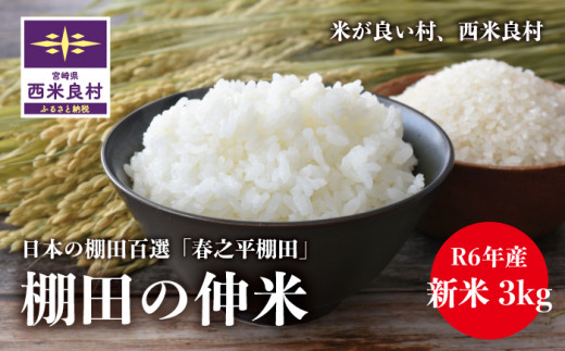 棚田の【伸米】(3キロ)