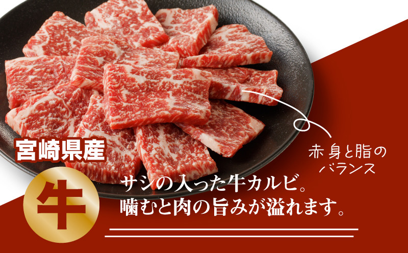 宮崎県産焼肉３種セット【タレ付き】（牛・豚・鶏） 計６００ｇ カット済み K16_0079_1