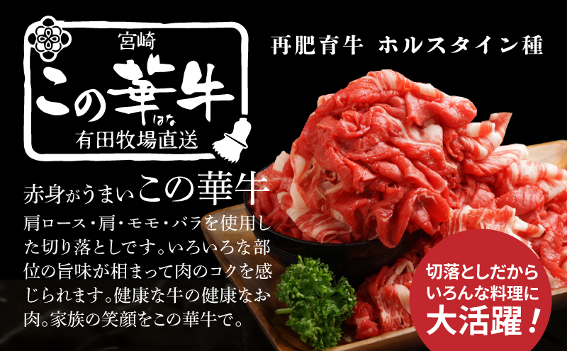 有田牧場直送 この華牛切り落とし900ｇ 12ヶ月定期便　K20_T003_1