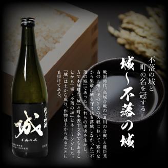  【先行予約】令和8年産 木城町・毛呂山町 新しき村友情都市コラボ 日本酒 純米吟醸「城 ～不落の城」4本  K21_0032
