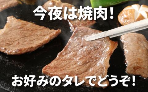 宮崎牛 肩ロース焼肉600ｇ  K18_0037_5