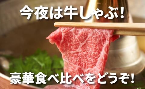 宮崎牛 肩ローススライス300ｇ ウデスライス400g  K18_0039_4