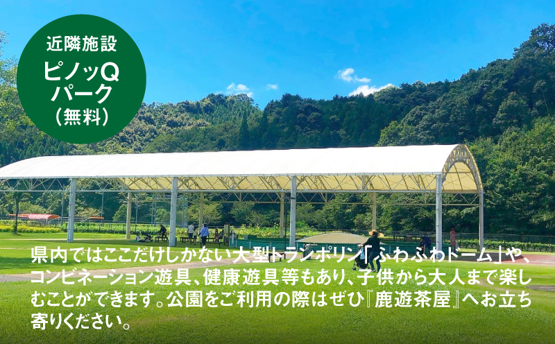 郷の駅「鹿遊茶屋（かなすみちゃや）」お食事券　3,000円分　K04_0007