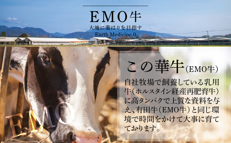 有田牧場直送 この華牛切り落とし900ｇ 12ヶ月定期便　K20_T003_1