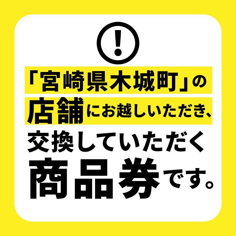 木城温泉館湯らら入浴券　6,000円分（11枚の回数券）K04_0012