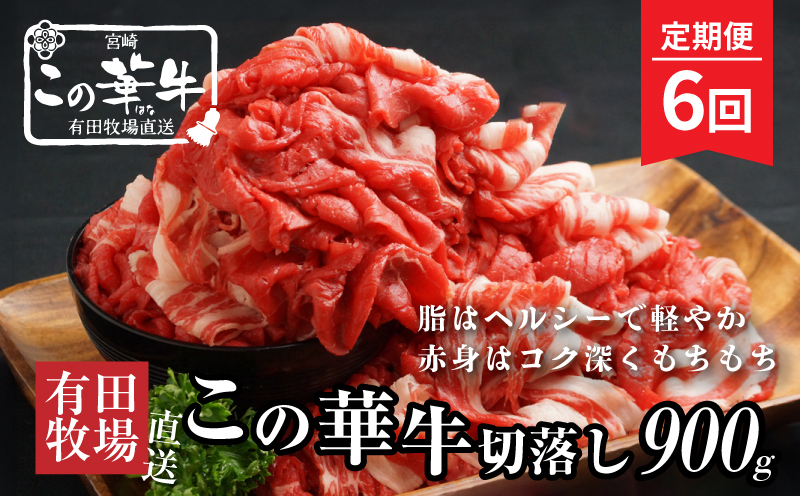 有田牧場直送 この華牛切り落とし900ｇ 6ヶ月定期便　K20_T002_1
