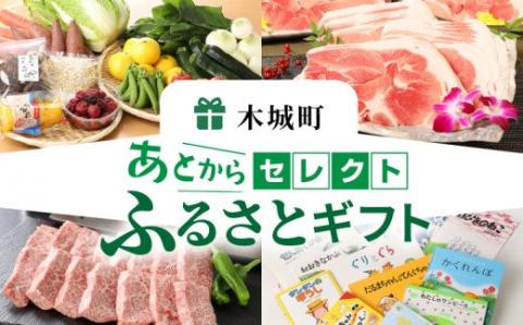 あとからセレクト【ふるさとギフト】４万円 K99-004