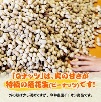 今井農園産 落花生「Qナッツ」9袋（130g×9）【 ピーナッツ おつまみ 国産 宮崎県産 】[C03403]