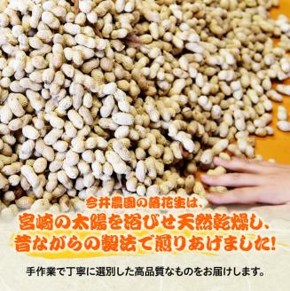 今井農園産 落花生「Qナッツ」6袋（130g×6）【 ピーナッツ おつまみ 国産 宮崎県産 】[C03402]