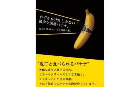 国産バナナNEXT716 「12本」　レギュラーサイズ【国産 バナナ 無農薬 フルーツ 果物 デザート 朝食 スムージー 川南町】[H5804P]