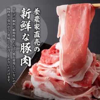 宮崎県産豚肉 小野さんちの豚肉 切り落とし 2.5kg 【 豚肉 豚 肉 宮崎県産 小分け パック 便利 和洋中 】［E10505］