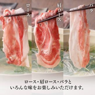 宮崎県産豚肉 小野さんちの"豚肉５種セット” 2.5kg 【 豚肉 豚 肉 宮崎県産 しゃぶしゃぶ 焼肉 セット 和洋中 】［E10506］