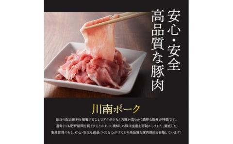 川南ポーク豚肉切り落とし2.25kg（250g×9袋） 【 豚肉 豚 肉 切落し 九州産 国産 宮崎県産 切り落し 】 [E5016]