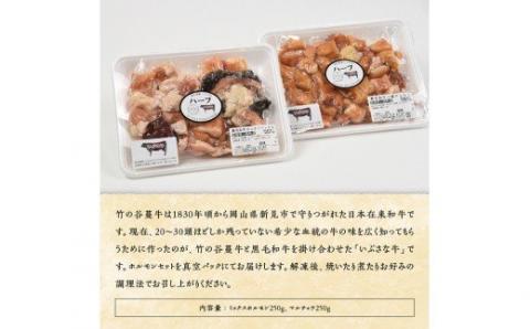 いぶさな牛　ホルモンセット 【 肉 牛肉 黒毛和牛 精肉 希少 】[H0505]