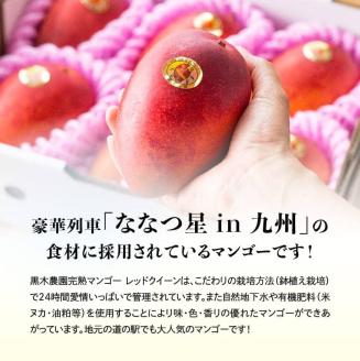【先行予約】【令和8年発送】宮崎県産完熟マンゴー　「レッドクイーン」M×4玉 【 果物 フルーツ マンゴー 宮崎県産 完熟マンゴー みやざきマンゴー 先行予約 数量限定 期間限定 】[C03215]